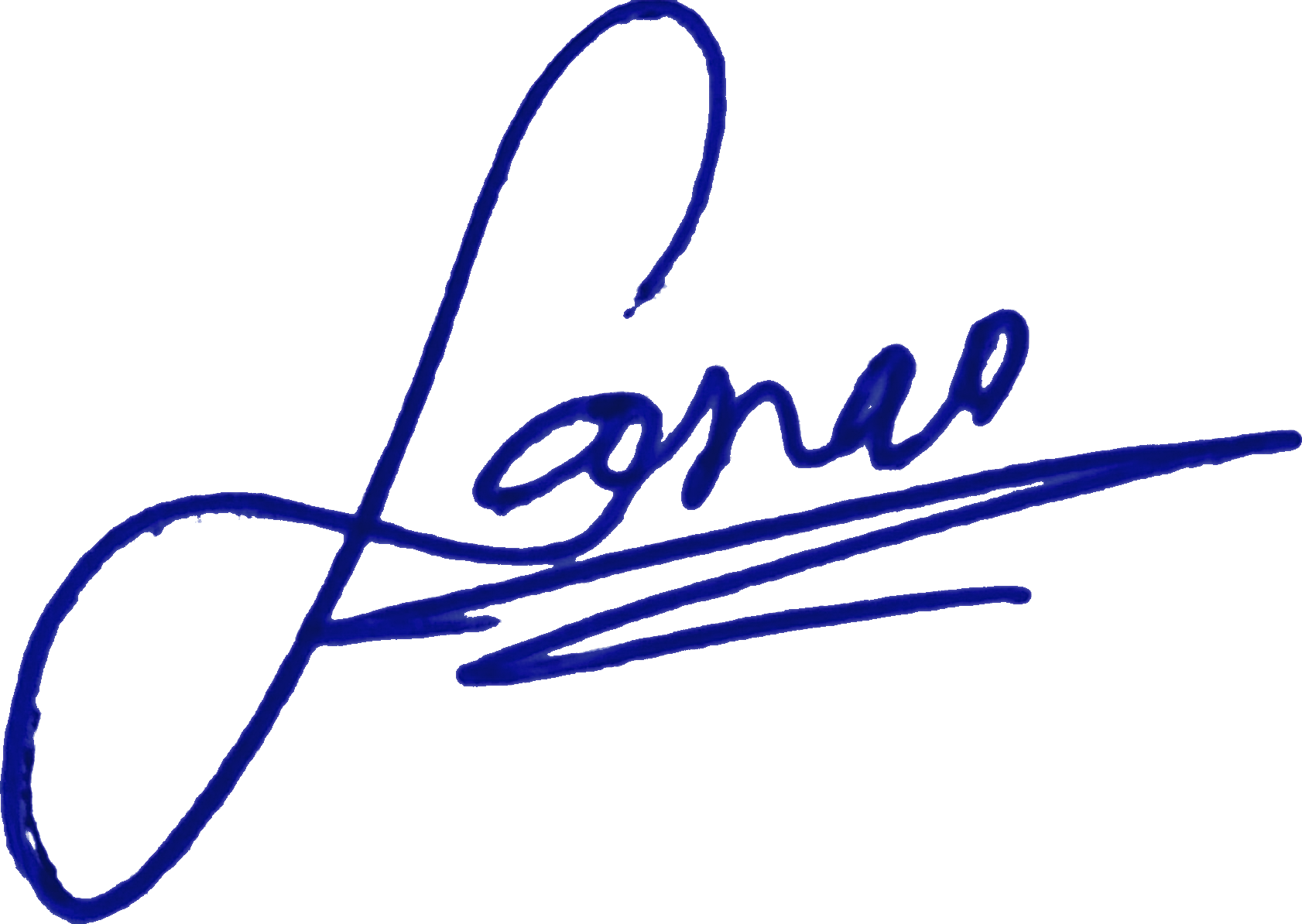 CEO signature